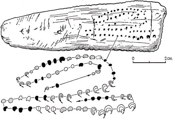 Aurignacian Lunar Calendar / diagram, drawing after Marshack, A. 1970; Notation dans les Gravures du Paléolithique Supérieur, Bordeaux, Delmas
