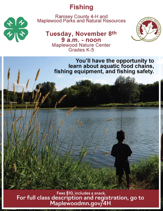 Boy fishing at a lake