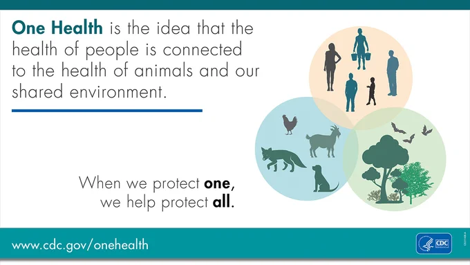 A graphic showing a Venn diagram with circles representing humans, animals, and the environment that overlap. The text says, "One health is the idea that the health of people is connected to the health of animals and our shared environment. When we protect one, we help protect all." 