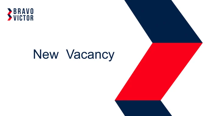 BRAVO VICTOR is recruiting for a Research Assistant