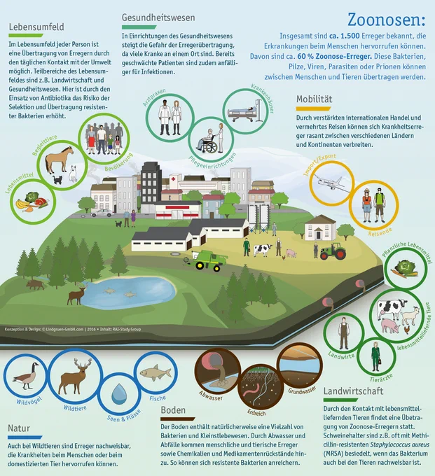 Infografik zu One Health, die Bereiche Lebensumfeld, Gesundheitswesen, Mobilität, Natur, Boden und Landwirtschaft abdeckend. 
Dazu der Text: "Zoonosen: Insgesamt sind ca. 1.500 Erreger bekannt, die Erkrankungen beim Menschen hervorrufen können. Davon sind ca. 60% Zoonose-Erreger. Diese Bakterien, Pilze, Viren, Parasiten oder Prionen können zwischen Menschen und Tieren übertragen werden. 