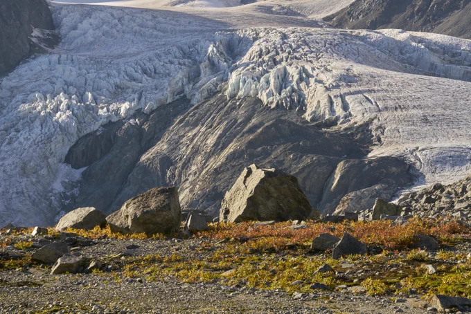Glacier in the background ending at the edge of bare rock, with boulders, bare ground, and low-lying vegetation in the foreground.