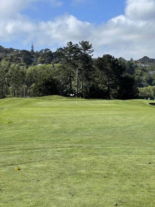 A photo of a golf green. With a golf ball not too far from the flag.