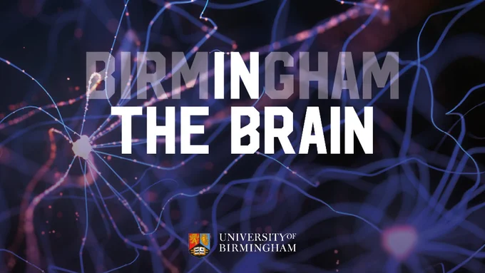 Birmingham in the Brain