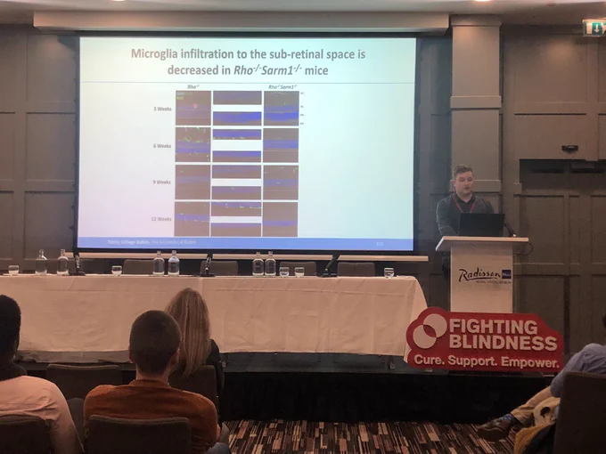 Luke Gibbons presenting at the Scientific day of Retina 2022