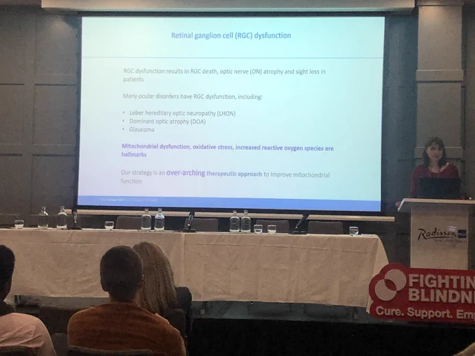 Dr Sophia Millington-Ward presenting at the Scientific day of the Retina 2022