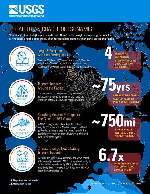 Graphic showing tsunami statistics. 