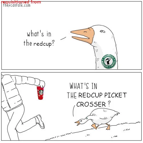 The goose from “untitled goose game” in the first panel asking “what’s in the red cup?” In the second panel the goose says “what’s in the red cup picket crosser” while chasing a sprinting person holding a red cup