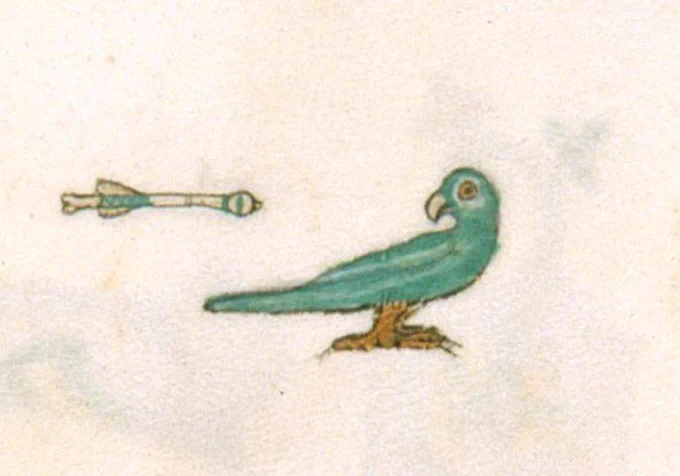A medieval drawing of a blue green bird looking over its shoulder at an arrow flying toward it