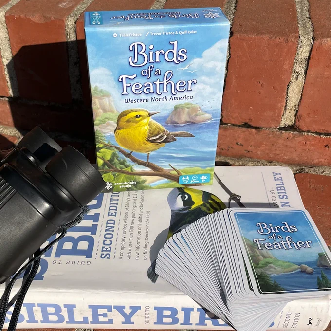 A Birds of a Feather game laid out on a brick step