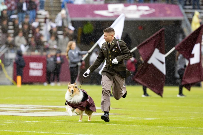 Reveille runs majestically through the rain across Kyle Field with her handler. She is wearing an adorable maroon raincoat, and her handler is wearing his midnights.