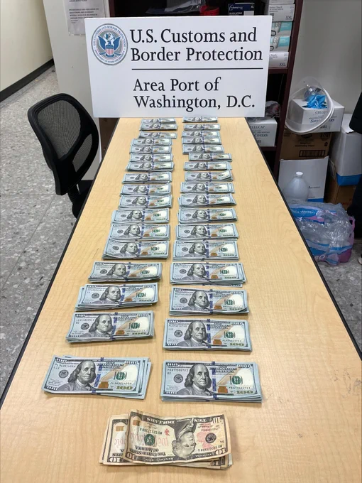  $33,000 in U.S. currency lined up in vertical rows on a table