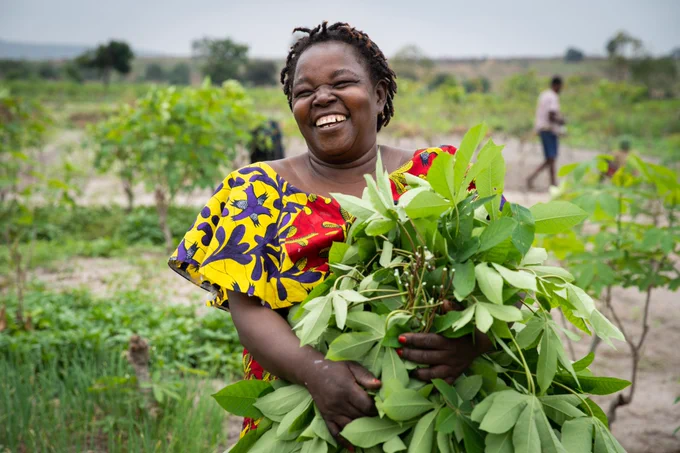 Clutching a bunch of recently harvested cassava leaves, Philomene Kabedi, aged 61, poses for a photograph on her farm in N’sele Commune on the outskirts of Kinshasa, DRC. Photo credit Lisa Murray