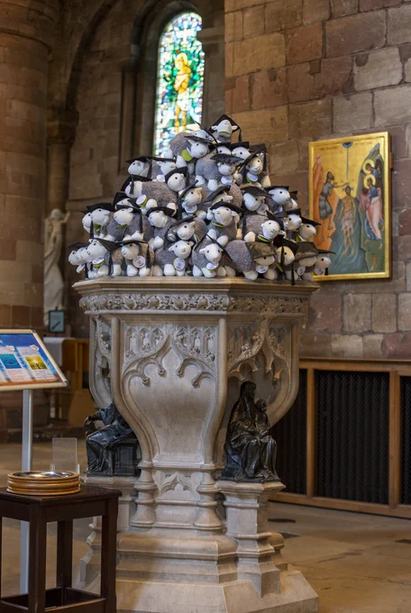 Lots of mini University of Cumbria graduation 'Herdy' cuddly toy sheep in the font at Carlisle Cathedral. 