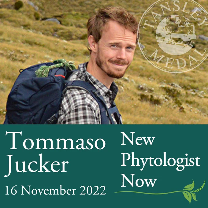 Tommaso Jucker. New Phytologist Now, 16 November 2022.