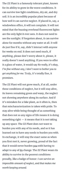 The ZZ Plant is a famously tolerant plant, known for its ability to grow in the worst conditions. It can survive low light conditions, dry air, and dry soil. It is an incredibly popular plant because of how well it can survive neglect. If placed in, say, a windowless office, it will not complain. It will not mind that the buzzing overhead fluorescent lights are the only light it ever sees. It does not need to see the sunlight. If forgotten about, it can survive alone for months without any water at all. It will do just fine if it, say, didn’t interact with anyone for weeks on end. It does not need much, if anything, please don’t worry about it, please, it really doesn’t need anything. If you were to offer it a glass of water, it would say No really, it’s okay, I’m fine without any, I don’t want to bother you to get anything for me. Truly, it’s totally fine, it promises.

(full text at link)