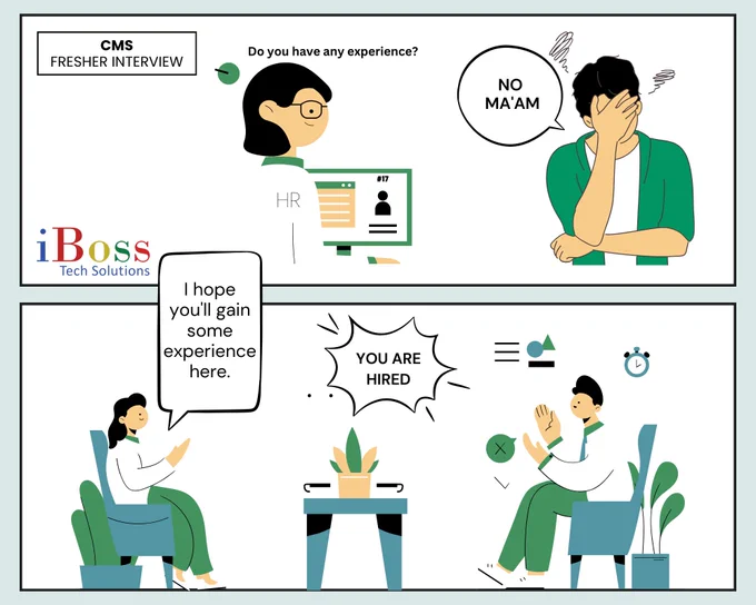 Hiring CMS developer