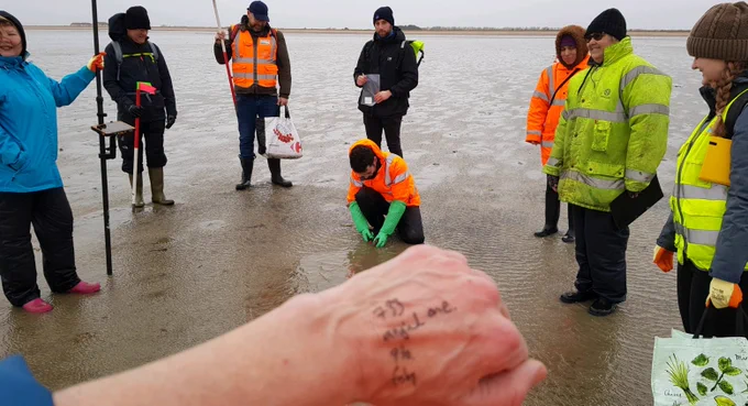 The scene is of a cold looking day, tide out, on the foreshore. In the foreground there's some indecipherable words scribbled on the back of a hand. In the background 7 archaeologists look on as another excavates and samples a small timber stake.
