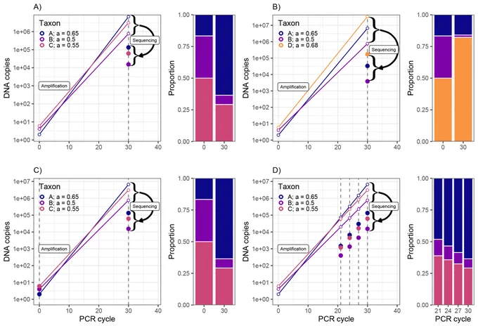 Two examples of changes in communities due to PCR bias and illustrations of potential solutions. A and B show communities of 3 taxa with variation in amplification efficiency. Left panels show the PCR process where slopes of lines are determined by the taxon-specific amplification efficiencies. Right panels compare the true starting-community DNA composition and the observed community composition at PCR cycle 30