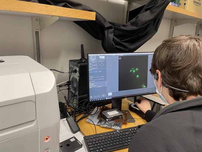 Scott Berger (@ScottBerger101) taking our first images of choanoflagellates on the cytation 10 (pictured is S. rosetta with tubulin staining)