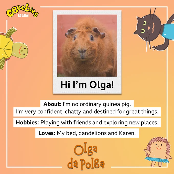Image showing a photo os a Guinea Pig Olga Da Polga. Text below reads her about section, hobbies and loves. Image includes cartoon drawings of her friends, a tortoise, cat and hedgehog.