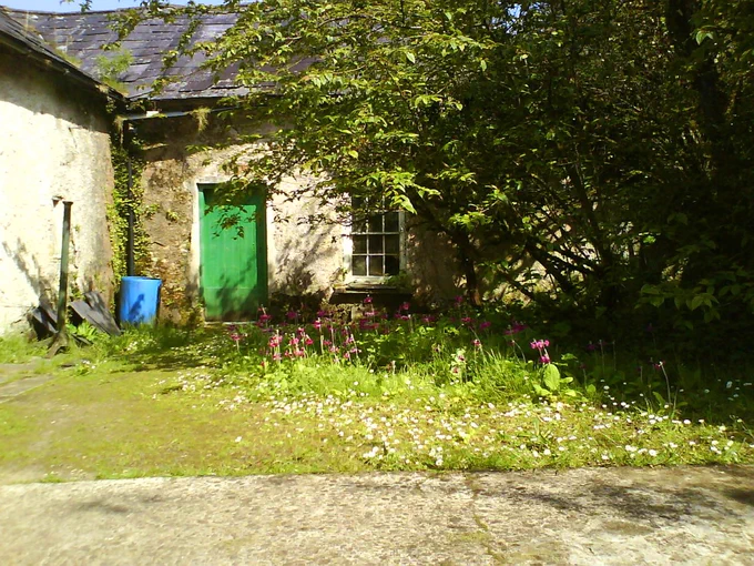 The tack room at Annes Grove, County Cork, Ireland, seen from outside with shrubs and flowers in the foreground.