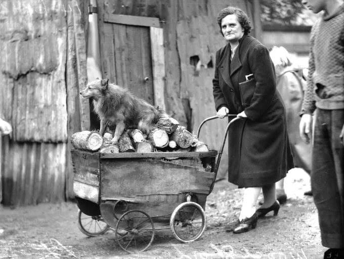 Black and white photograph from the 1940s. An older woman pushes a pram filled with firewood. A dog sits on top. 