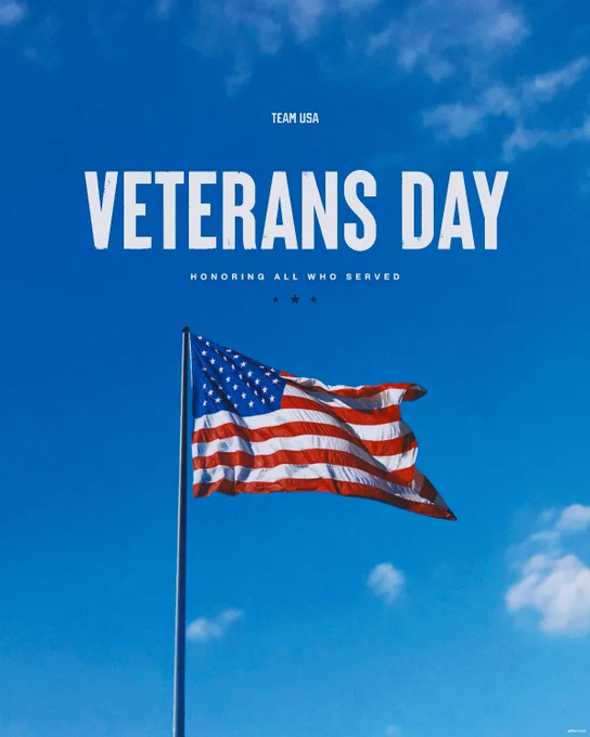 The American flag waving in the wind with text "Team USA. Veterans Day. Honoring all who served."