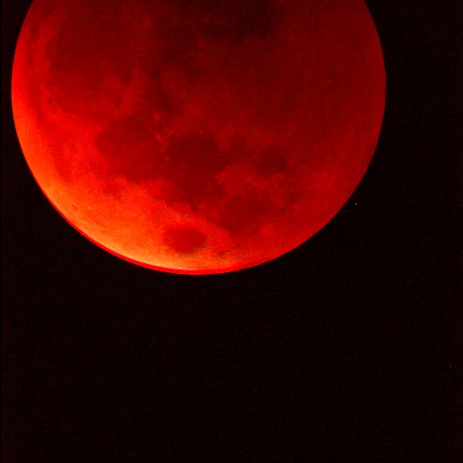 Lunar eclipse from November 2022 - image by Dustin Kirby from the Selu Observatory