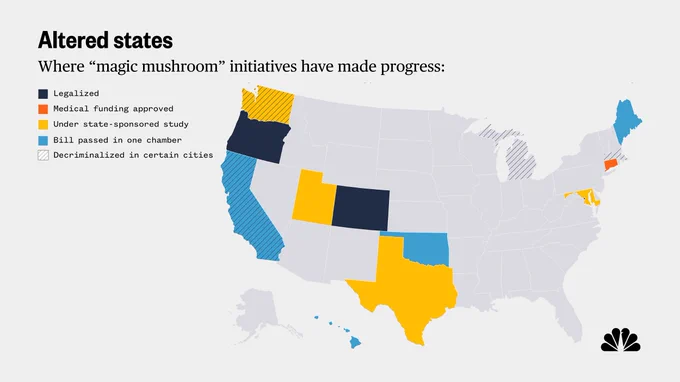 A color-coded map of the U.S. that shows which states have moved forward with state-sponsored studies into psilocybin, advanced legislation regarding psilocybin or legalized psilocybin. Also noted is which states have cities in them that have decriminalized psilocybin.