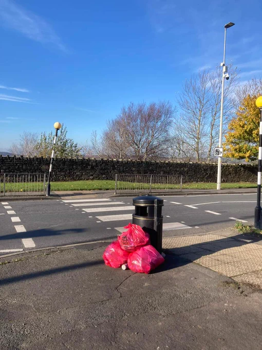 Bright sunny day, bags of litter picked by volunteers and left by a council bin