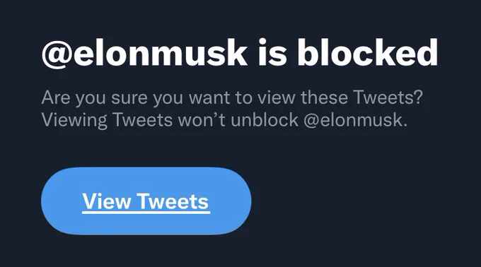 Screen shot showing Elon is blocked on twitter