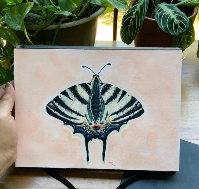 [image 4] swallowtail butterfly print. 