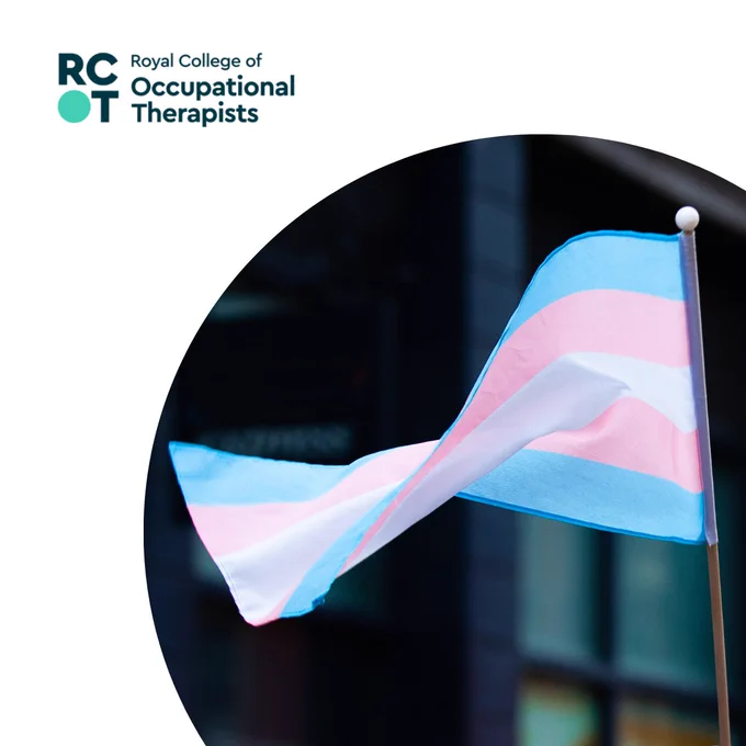 The Trans pride flag flying. 