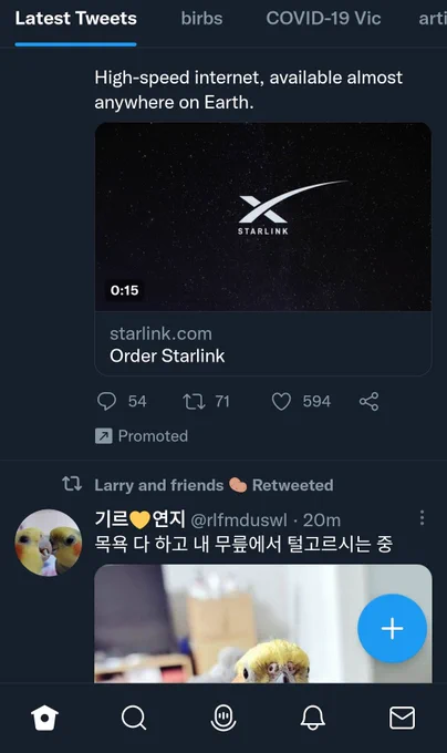 A screenshot showing a promoted tweet by Starlink. You can also see a little of the rest of my timeline, which is mostly cockatiels in Korea.