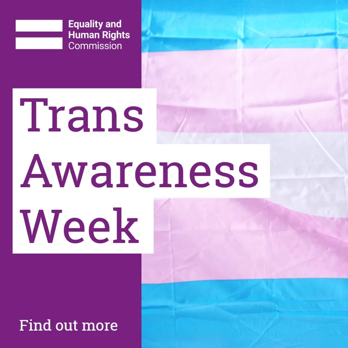 The trans flag