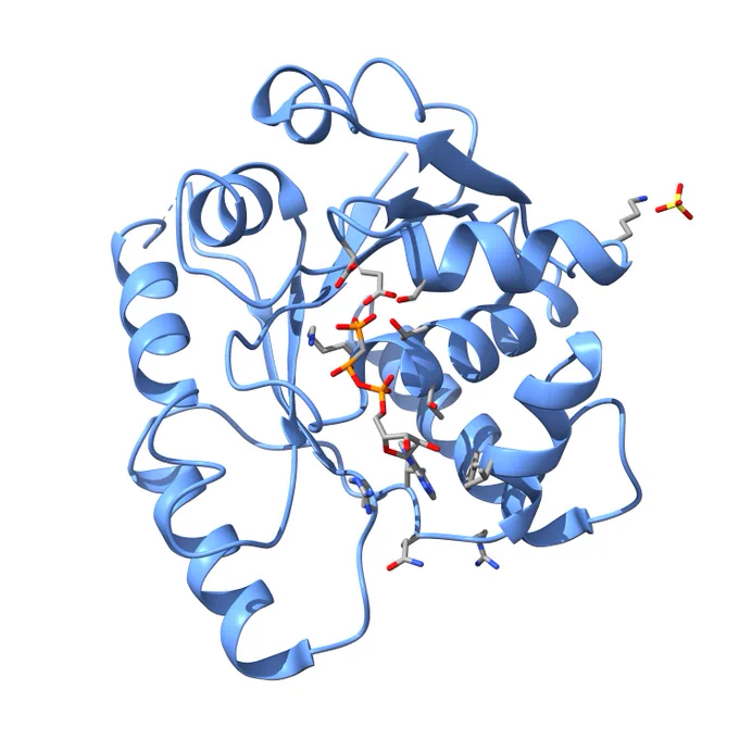 3D structure of a protein involved in plasmid segregation
