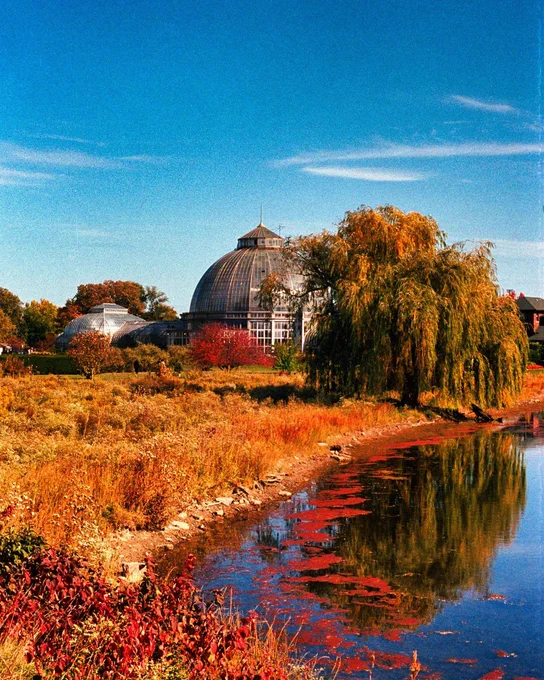 Belle Isle Conservatory surrounded by orange and green trees