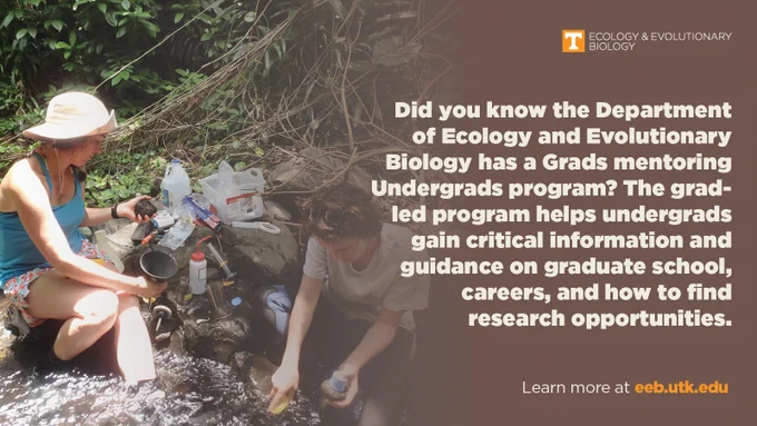 2 students conduct field work in a stream