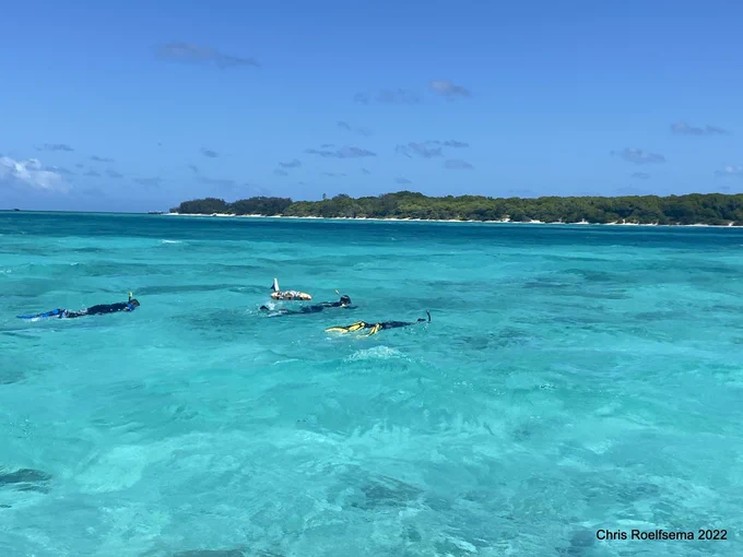 Snorkelers collecting photo quadrates https://www.nature.com/articles/s41597-021-00871-5
