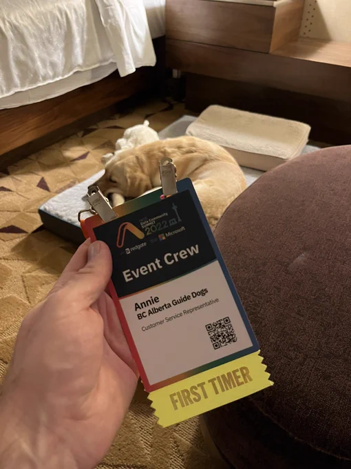 Service Dog in Training, Annie, with BC & Alberta Guide Dogs, rest on her bed, while in the foreground her registration badge for the PASS Data Community Summit shows she’s part of the event crew, and she has a “first timer” ribbon on the bottom of her badge.