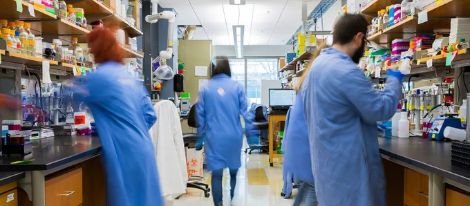 Photo of people in blue lab coats in a chemistry lab with supplies in shelves and lab benches along the walls