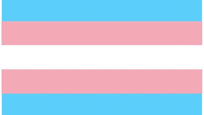 Transgender pride flag colors. One horizontal white stripe with a pink stripe and a light blue stripe both above and below it.