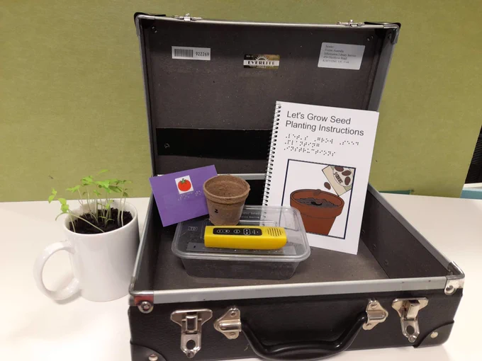 A Let's Grow Seed Library kit, containing the Pathway audio player, an accessible print instruction manual, a biodegradable seedling pot, potting soil, and a braille printed seed envelope. Next to the kit is a coffee mug with freshly sprouted seedlings inside of it (tomatoes!).