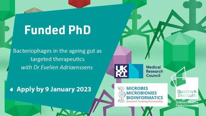 A graphical pattern of bacteriophages. On the left a blue green quadrangle with the following text: Funded PhD, Bacteriophages in the ageing gut as targeted therapeutics with Dr Evelien Adrianssens, Apply by 9 January.  In the bottom right the MRC logo, MMB logo and Quadram Institute logo.