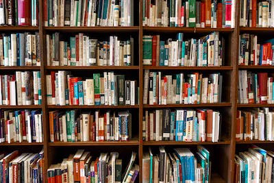 A very full bookshelf full of amazing books to read!