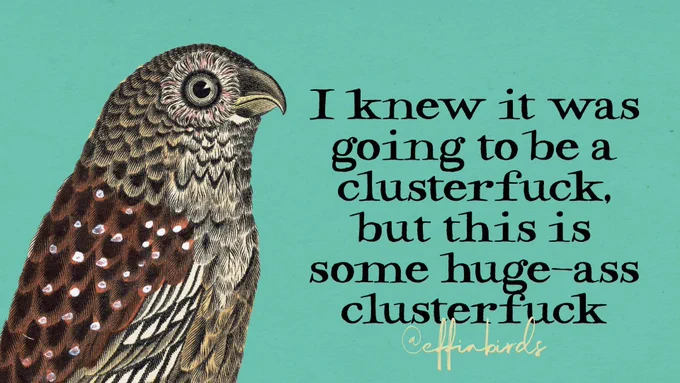 A painting of a bird beside the text "I knew it was going to be a clusterfuck, but this is some huge-ass clusterfuck"