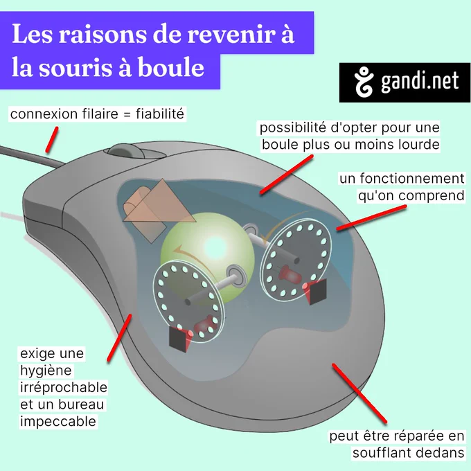 Les raisons de revenir à la souris à boule :
connexion filaire = fiabilité
possibilité d'opter pour une boule plus ou moins lourde
un fonctionnement compréhensible
exige une hygiène impeccable
peut être réparée en soufflant dessus
