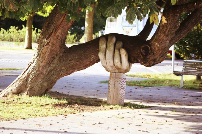 Image of a state of a hand holding up a leaning tree.