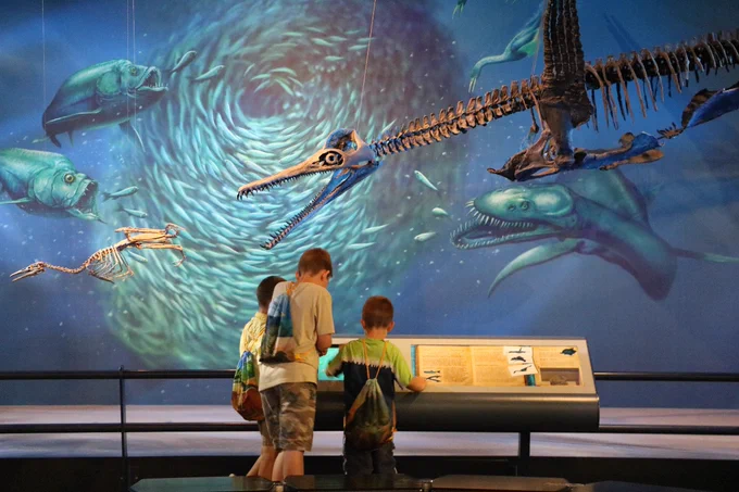 Kids looking at a museum label in an exhibit featuring aquatic fossils. 